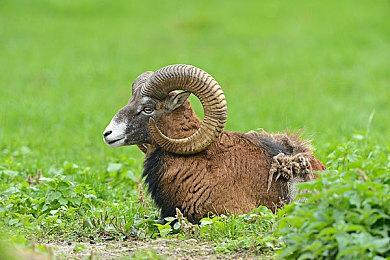 《星空》全新Mod引入动态天气系统